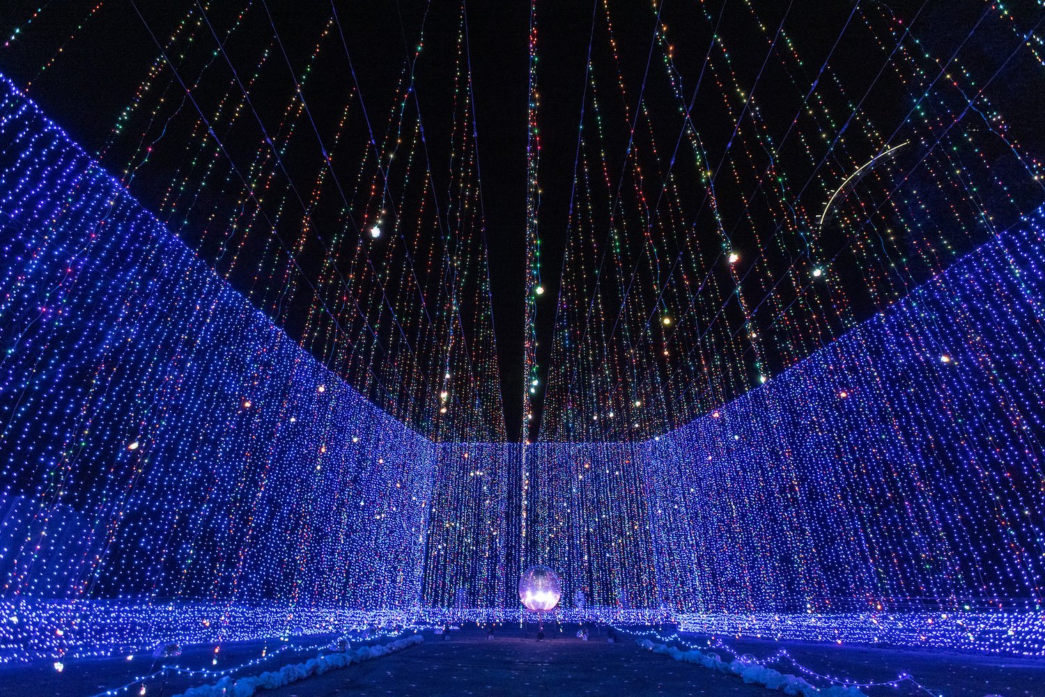 🎢 사가미호 유원지 숲(사가미코 리조트 플레저 포레스트) 이미지 9